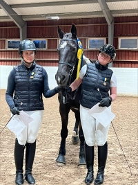 Skolmästerskap i dressyr