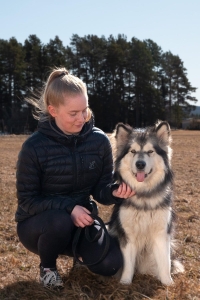Ny utbildning - start i höst!