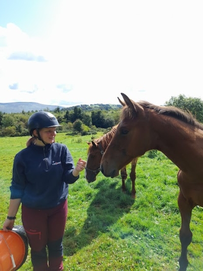 Hälsningar från APL i Irland