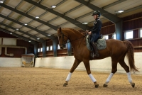 Lovkurs under jullovet