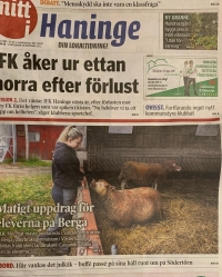 Berga i tidningsreportage