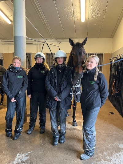 Diplomerade Travhästskötare