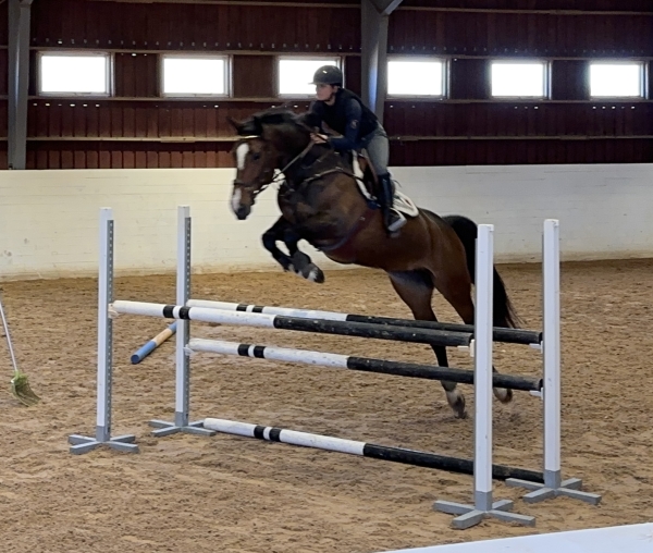 Hästhoppning