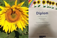 27 575 kr till Barncancerfonden!